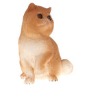 Plastic Realistic Persian Cat Action Figure Kitten Pet Model Wildlife Jungle Animals Playset Eduactional Kids Child Toys Collectibles