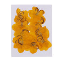 12 Pieces Natural Pressed Dried Semen Flowers Photo Frame Phone Case Decor