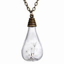 Fashion Dandelion Clear Glass Bottle Pendant Necklace Jewelry Chain Bronze