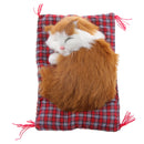 Lifelike Cloth Pad Cat Doll Home Ornament Decor Birthday Gift Collectibles