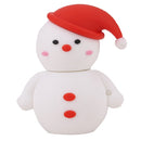 Snowman Traveler 32GB-256GB USB 2.0 Flash Drive Memory Stick Storage Disk 256GB
