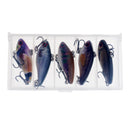 5pcs Hard Plastic Crank Baits 4cm/3.5g Fishing Lures Sinking Rattles Bass Hooks with Tackle Box Saltwater Freshwater Fishing