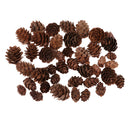 50 Pieces Mixed Size Mini Natural Rustic Dried Pine Cones In Bulk For Christmas Party Ornament Florists Gift Wrapping Decoration