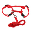 Small Pet Rabbit Harness Traction Rope Pet leash Harness Nylon Random Color Pet Supplies Outdoor