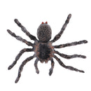 Realistic Science Plastic Animal Model Figure Brazilian White Spider Figurine Children Kids Educational Toy Home Decoration Collectibles Kids Story Telling Props