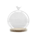 Transparent Glass Cover Dry Flower Display Vase Terrarium Bottle Desktop Microlandscape Decor