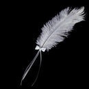 Wedding Bridal Party White Ostrich Quill Feather Guest Book Signing Pen Bowknot