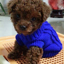 Dog Puppy Warm Winter Knitted Fashionable Soft Durable Sweater Clothes Apparel Costume Outfit Pet Supplies 4