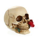 Romantic 3D Skeleton Skull with Rose in Mouth Model Head Bone Ornament Night Party Pub Bar Decorative Figurine Craft