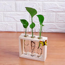 Creative Test Tube Vase in Wooden Stand Flower Plant Pot Home Decoration DIY