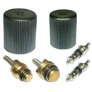 A/C System Cap Hat & Valve Cores Rapid Seal Kit for Air Conditioning Service