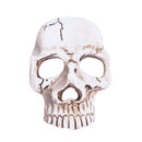 Durable 3D Replica Resin Skull Head Mobile Phone Case DIY Stickers White