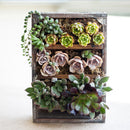 Wooden Three Layers Shelf Pot Flower Succulent Planter Garden Hanging Decor