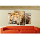 4 Pieces Canvas Decor Wall Art Paintings Lion Print Picture Set 30*60/80cm