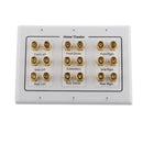 Multimedia Panel Audio AV Speaker Terminal with Binding Post for Banana Plug