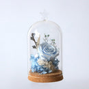 7'' Decorative Clear Glass Apothecary Cloche Bell Jar / Plant Terrarium / Desktop Centerpiece Dome Display Mum Day Favor