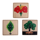 Montessori Botany Material 3 Plywood Plant Puzzles Toy Gift for Children