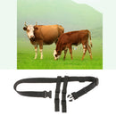 Strong Nylon Pet Collar Sheep Cow Adjustable Walking Traction Harness