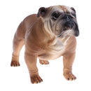 Simulation Animal Model Action Figures Kids Educational Toy Gift - Brown Bulldog