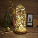 LED Firework Glass Gift Wood Base Touch Switch Table Desk Light Lamp Home Bedroom Decor Fashion Accessories Cover