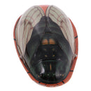 Creative Metal Sounding Cicada Model Tin Toy Collectible Gift for Kids Adult