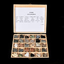 Rock & Mineral Collection - Igneous Rock Set Geology Specimens Earth Science Educational - Wooden Box Of 30 pieces Assorted Magmatic Rocks