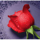 5D DIY Diamond Painting Rose Embroider Cross Stitch Craft Home Decor Charms Ornament Gift Red