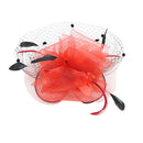 Women Ladies Fashionable Wedding Bridal Prom Mesh Veil Feather Fascinator Hair Clip Hair Decor Accessory Red