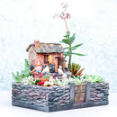 Courtyard Sedum Planter Window Box Trough Pot Succulent Herb Flower Bed DIY