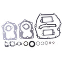 COMPLETE GASKET LIT TOP/BOTTOM END ENGINE SET for Briggs & Stratton 590508