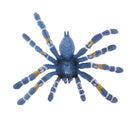Realistic Science Plastic Animal Model Figure Brazilian Blue Spider Figurine Children Kids Educational Toy Home Decoration Collectibles Kids Story Telling Props