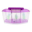 Acrylic LED Aquarium Fish Tank Isolation Box Hatchery Incubator Box Crystal Purple 28x10x15cm