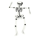 DIY Assembled Human Skeleton Bone Structure Science Experiment Accessories Children Educational Toy