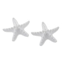 2 Pieces Seastar Aroma Fragrance Stone DIY Essential Oil Diffuser for Home Decoration