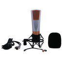 Computer Condenser Microphone and Metal Shock Mount for Home Recording Web Chat PC Laptop