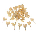 30 Pieces Approx 2 - 3cm Real Rose Hips Decolourize Dried Flowers for DIY Crafts Home Decorating Wedding Decoration Floral Arts