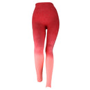 Professionals Yoga Running Gym Fitness Sportswear High Elastic Stretchable Waist Pants Leggings For Women Girls Orange L