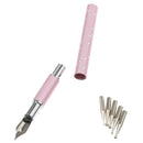 2016 Stainless Nail Art Pen Tool Liner Drawing Painting + 5 Dotting Tips
