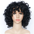 Natural African Wave Kinky Curly Wigs Black Women Synthetic Full Wigs 26"