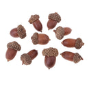 10 Pieces Rustic Natural Acorns Dried Table Decorations for Accents Home Christmas Party Decoration Ornaments DIY Floral Arts Crafts