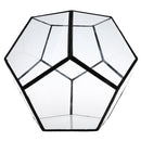 Irregular Ball Shape Decor Glass Geometric Terrarium Succulent Plant Terrarium for Air Plants Planter Pot