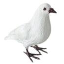 Artificial Bird White Standing Pigeon Realistic Imitation Fur Taxidermy