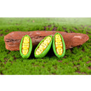 3pcs Mini DIY Pea Expression Micro Landscape Fairy Garden Dollhouse Decor