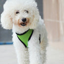 Soft Breathable Mesh Adjustable Chest High Strength D-Ring Dog Harness Belt Green XL