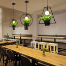 Black Geometric Iron Ceiling Lamp Pendant Light Plants Flower Pots Light Fixture