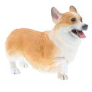 Plastic Realistic Wildlife Jungle Forest Ocean Animals Corgis Dog Action Figure Toys Pet Playset, Eduactional Toys For Kids Toddler Collectibles