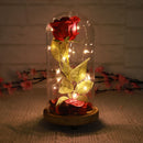 Led Preserved Rose Flower with Glass Box Gifts for Valentine's Day Anniversary, Birthday Party
