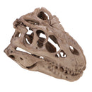 16cm Dinosaur Tyrannosaurus Rex Skull Resin Model Collectibles Aquarium Ornament Home Decor