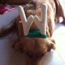 Non Woven Elastic Reindeer Antlers Dog Cat Headband Christmas Party Holiday Equipment Pet Supplies S