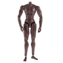 12inch Black Wide Shoulder Muscular Male 1/6 Figure Body for TTM18 TTM19 Headsculpt